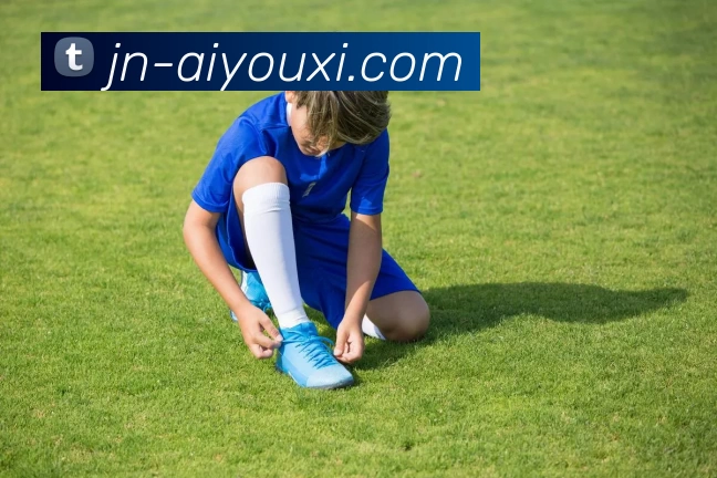 爱游戏服务体系